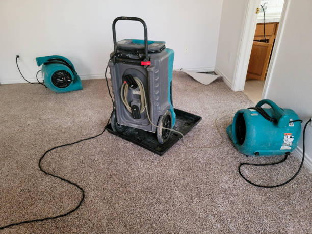 Best Water damage restoration near me  in Kana, UT