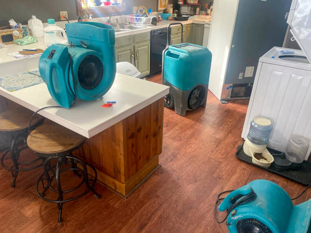 Best Mold removal after water damage  in Kana, UT