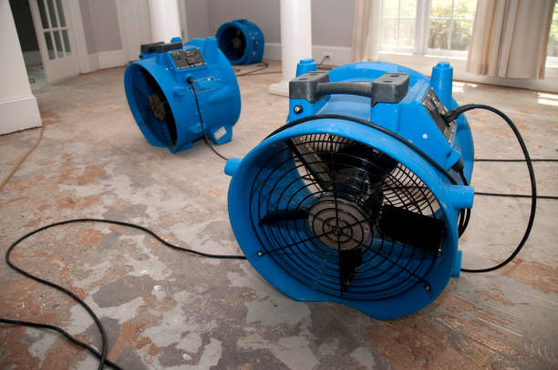 Best Flood damage cleanup  in Kana, UT