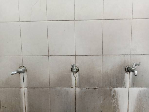 Best Water damage repair service  in Kana, UT