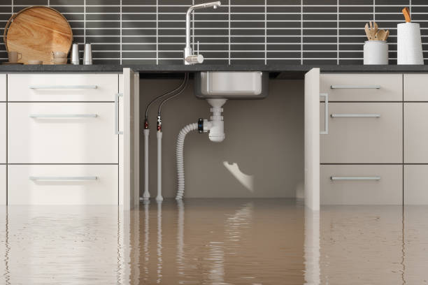 Best Basement water damage restoration  in Kana, UT