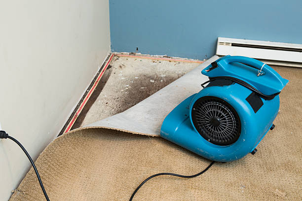 Best Water damage contractors near me  in Kana, UT